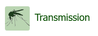 Transmission of West Nile Virus