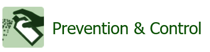 Prevention & Control of West Nile Virus