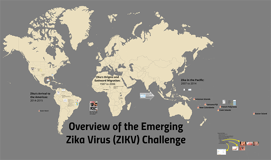 Overview of the Emerging Zika Virus (ZIKV) Challenge (Screenshot)